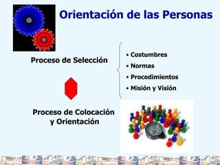 Proceso de Selección Proceso de Colocación y Orientación Costumbres Normas Procedimientos Misión y Visión Orientación de las Personas 