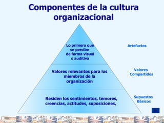 Lo primero que se percibe  de forma visual o auditiva Artefactos Valores relevantes para los miembros de la organización Valores  Compartidos Residen los sentimientos, temores, creencias, actitudes, suposiciones,  Supuestos Básicos Componentes de la cultura organizacional 