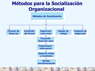 Métodos para la Socialización Organizacional  Métodos de Socialización Proceso de  Selección Contenido  del Puesto Supervisor  como tutor Equipo de  trabajo Programa de  integración  Transmitir  Dirección clara Proporcionar  Información Negociar metas  y resultados Brindar  retroalimentación 