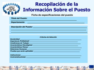 Recopilación de la Información Sobre el Puesto Título del Puesto: ________________________________________________________ Departamento :  ________________________________________________________ Descripción del Puesto:  _____________________________________________________ __________________________________________________________________________ ___________________________________________________________________________ Ficha de especificaciones del puesto Criterios de Selección Escolaridad: _____________________________________________________________ Experiencia Profesional: ________________________________________________ Condiciones de Trabajo: ___________________________________________________ Características Psicológicas: _____________________________________________ Características Físicas: _____________________________________________________ Relaciones Humanas: _____________________________________________________ Pruebas que serán aplicadas: ______________________________________________ Indicaciones: ____________________________________________________________ Contraindicaciones: ______________________________________________________ 