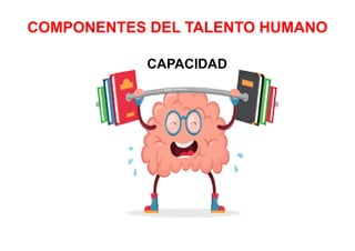 COMPONENTES DEL TALENTO HUMANO
CAPACIDAD
 