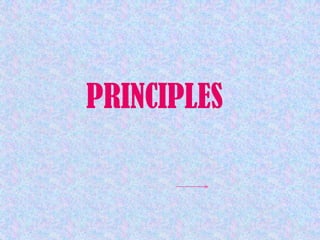 PRINCIPLES
 