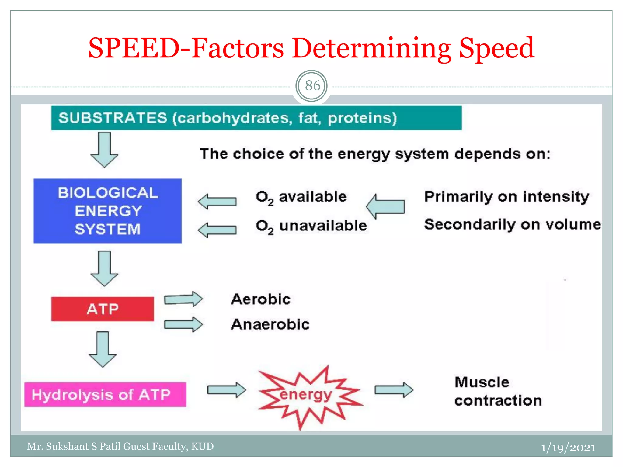 GTMT Training components