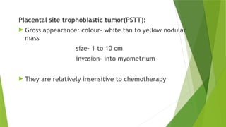 Pstt GESTATIONAL HYPERTENSION IN PREGNANCY OG | PPTX