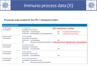 Immuno process data (II)
Processes auto-curated for the PD-1 checkpoint protein
GO evidence codes
= Traceable Author Statement
= Inferred from Direct Assay
= Inferred from Electronic Annotation
 