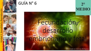 Comprehensive Guide to Human Fertilization and Embryonic Development | PDF