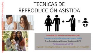 Comprehensive Guide to Human Fertilization and Embryonic Development | PDF