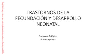 Comprehensive Guide to Human Fertilization and Embryonic Development | PDF