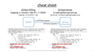 GTPing, How To | PDF
