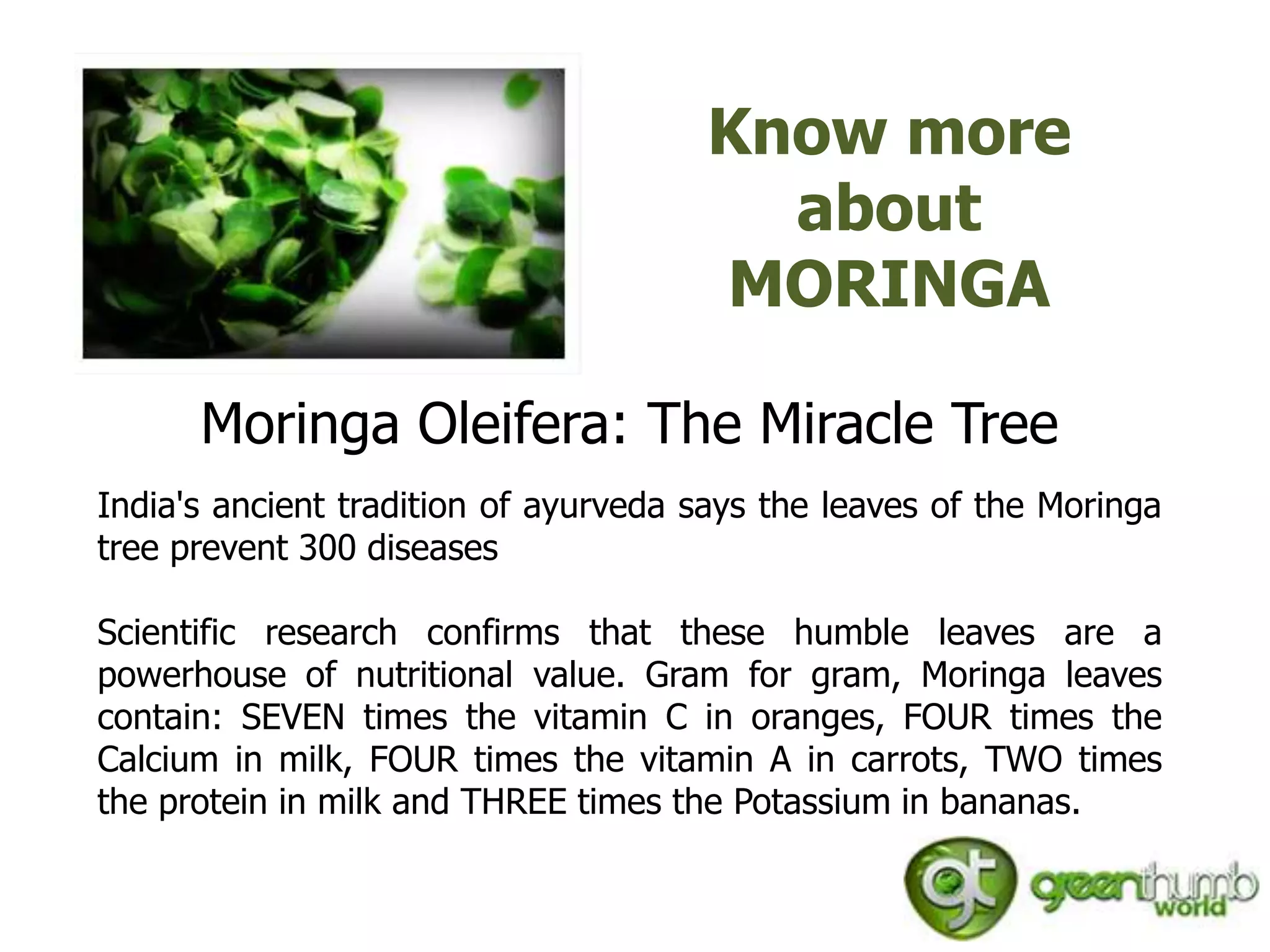 Know more
                                        about
                                      MORINGA

      Moringa Oleifera: The Miracle Tree
India's ancient tradition of ayurveda says the leaves of the Moringa
tree prevent 300 diseases

Scientific research confirms that these humble leaves are a
powerhouse of nutritional value. Gram for gram, Moringa leaves
contain: SEVEN times the vitamin C in oranges, FOUR times the
Calcium in milk, FOUR times the vitamin A in carrots, TWO times
the protein in milk and THREE times the Potassium in bananas.
 