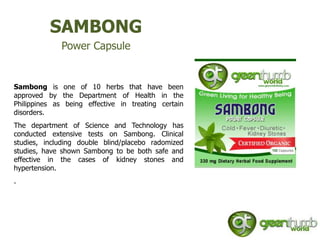 SAMBONG
              Power Capsule


Sambong is one of 10 herbs that have been
approved by the Department of Health in the
Philippines as being effective in treating certain
disorders.
The department of Science and Technology has
conducted extensive tests on Sambong. Clinical
studies, including double blind/placebo radomized
studies, have shown Sambong to be both safe and
effective in the cases of kidney stones and
hypertension.
.
 