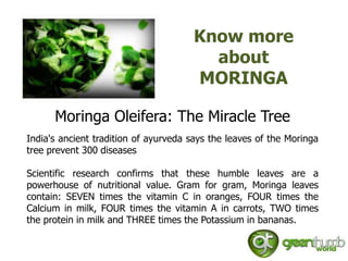 Know more
                                        about
                                      MORINGA

      Moringa Oleifera: The Miracle Tree
India's ancient tradition of ayurveda says the leaves of the Moringa
tree prevent 300 diseases

Scientific research confirms that these humble leaves are a
powerhouse of nutritional value. Gram for gram, Moringa leaves
contain: SEVEN times the vitamin C in oranges, FOUR times the
Calcium in milk, FOUR times the vitamin A in carrots, TWO times
the protein in milk and THREE times the Potassium in bananas.
 