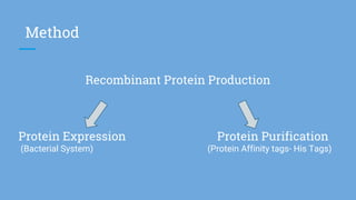 High level expression and Purification of recombinant proteins (Group 8 ...