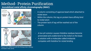 High level expression and Purification of recombinant proteins (Group 8 ...