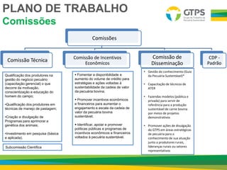 Comissões
Comissão Técnica Comissão de Incentivos
Econômicos
Comissão de
Disseminação
CDP -
Padrão
Qualificação dos produtores na
gestão do negócio pecuário
(capacitação gerencial) o que
decorre da motivação,
conscientização e educação do
homem do campo;
•Qualificação dos produtores em
técnicas de manejo de pastagem;
•Criação e divulgação de
Programas para aprimorar a
genética dos animais;
•Investimento em pesquisa (básica
e aplicada).
 Fomentar a disponibilidade e
aumento do volume de crédito para
estratégias e ações voltadas à
sustentabilidade da cadeia de valor
da pecuária bovina;
 Promover incentivos econômicos
e financeiros para aumentar o
engajamento e escala da cadeia de
valor da pecuária bovina
sustentável;
 Identificar, apoiar e promover
políticas públicas e programas de
incentivos econômicos e financeiros
voltados à pecuária sustentável.
• Gestão do conhecimento (Guia
da Pecuária Sustentável)*
• Capacitação de técnicos de
ATER
• Fazendas modelos (pública e
privada) para servir de
referência para a produção
sustentável de carne bovina
por meios de projetos
demonstrativos
• Promover ações de divulgação
do GTPS em áreas estratégicas
de pecuária para o
conhecimento de sua atuação
junto a produtores rurais,
lideranças rurais ou setores
representativos
PLANO DE TRABALHO
Comissões
Subcomissão Científica
 