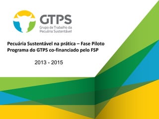 2013 - 2015
Pecuária Sustentável na prática – Fase Piloto
Programa do GTPS co-financiado pelo FSP
 