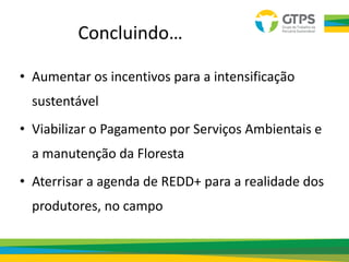 Concluindo…
• Aumentar os incentivos para a intensificação
sustentável
• Viabilizar o Pagamento por Serviços Ambientais e
a manutenção da Floresta
• Aterrisar a agenda de REDD+ para a realidade dos
produtores, no campo
 