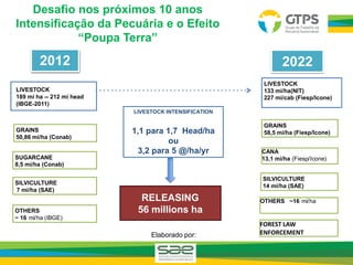LIVESTOCK
189 mi ha -- 212 mi head
(IBGE-2011)
SUGARCANE
8,5 mi/ha (Conab)
GRAINS
50,86 mi/ha (Conab)
SILVICULTURE
7 mi/ha (SAE)
OTHERS
~ 16 mi/ha (IBGE)
2012
LIVESTOCK INTENSIFICATION
1,1 para 1,7 Head/ha
ou
3,2 para 5 @/ha/yr
RELEASING
56 millions ha
2022
CANA
13,1 mi/ha (Fiesp/Icone)
SILVICULTURE
14 mi/ha (SAE)
LIVESTOCK
133 mi/ha(NIT)
227 mi/cab (Fiesp/Icone)
OTHERS ~16 mi/ha
FOREST LAW
ENFORCEMENTElaborado por:
Desafio nos próximos 10 anos
Intensificação da Pecuária e o Efeito
“Poupa Terra”
 