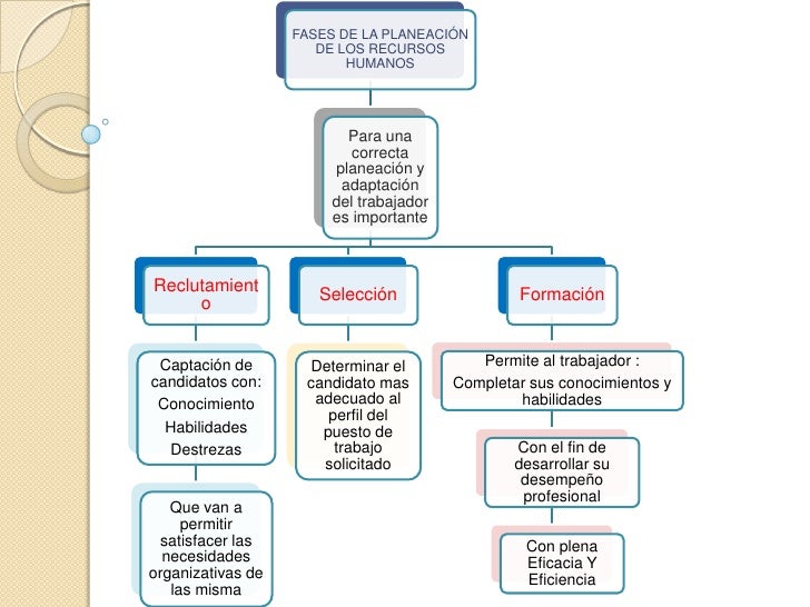 FASES DE LA PLANEACIÓN DE LOS RECURSOS HUMANOS