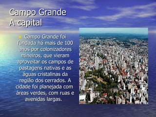 Campo Grande A capital Campo Grande foi fundada há mais de 100 anos por colonizadores mineiros, que vieram aproveitar os campos de pastagens nativas e as águas cristalinas da região dos cerrados. A cidade foi planejada com  áreas verdes, com ruas e avenidas largas.  
