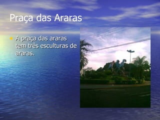 Praça das Araras   A praça das araras tem três esculturas de araras. 