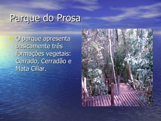 Parque do Prosa O parque apresenta basicamente três formações vegetais: Cerrado, Cerradão e Mata Ciliar.  