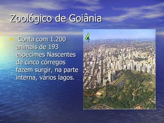 Zoológico de Goiânia Conta com 1.200 animais de 193 espécimes Nascentes de cinco córregos fazem surgir, na parte interna, vários lagos.  
