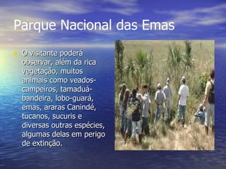 Parque Nacional das Emas   O visitante poderá observar, além da rica vegetação, muitos animais como veados-campeiros, tamaduá-bandeira, lobo-guará, emas, araras Canindé, tucanos, sucuris e diversas outras espécies, algumas delas em perigo de extinção. 