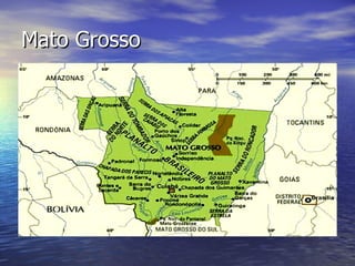 Mato Grosso 