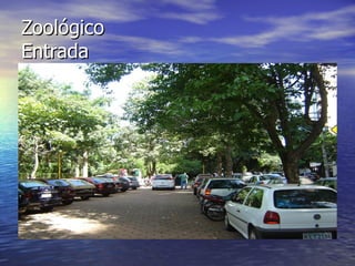 Zoológico Entrada 