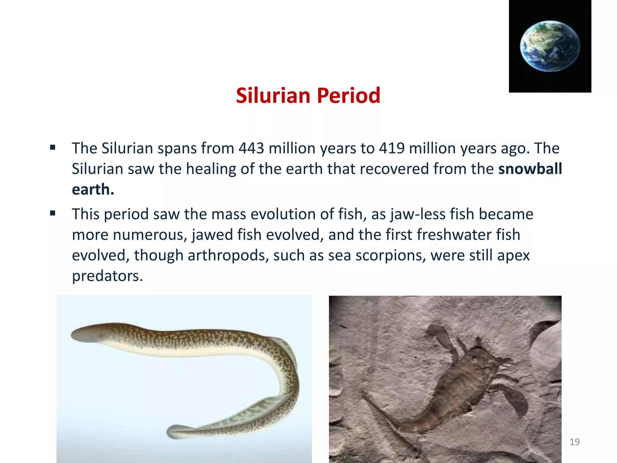 Silurian Period
 The Silurian spans from 443 million years to 419 million years ago. The
Silurian saw the healing of the earth that recovered from the snowball
earth.
 This period saw the mass evolution of fish, as jaw-less fish became
more numerous, jawed fish evolved, and the first freshwater fish
evolved, though arthropods, such as sea scorpions, were still apex
predators.
19
 