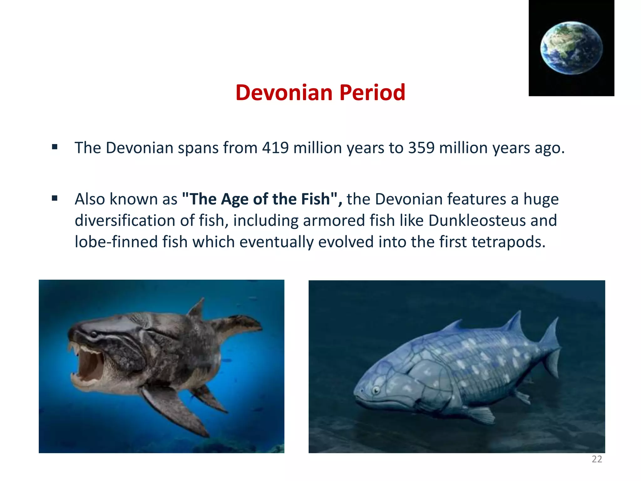 Devonian Period
 The Devonian spans from 419 million years to 359 million years ago.
 Also known as "The Age of the Fish", the Devonian features a huge
diversification of fish, including armored fish like Dunkleosteus and
lobe-finned fish which eventually evolved into the first tetrapods.
22
 