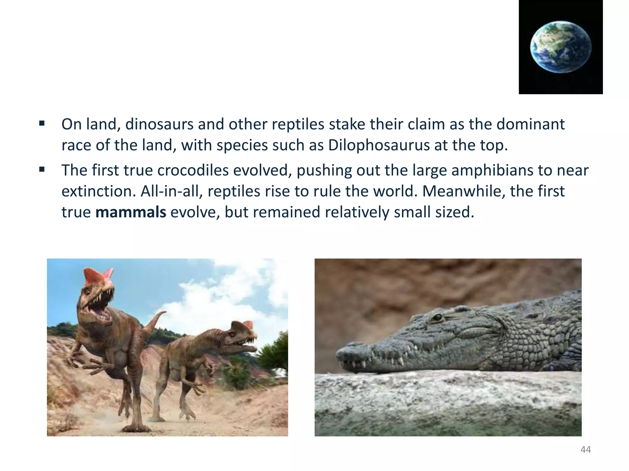  On land, dinosaurs and other reptiles stake their claim as the dominant
race of the land, with species such as Dilophosaurus at the top.
 The first true crocodiles evolved, pushing out the large amphibians to near
extinction. All-in-all, reptiles rise to rule the world. Meanwhile, the first
true mammals evolve, but remained relatively small sized.
44
 