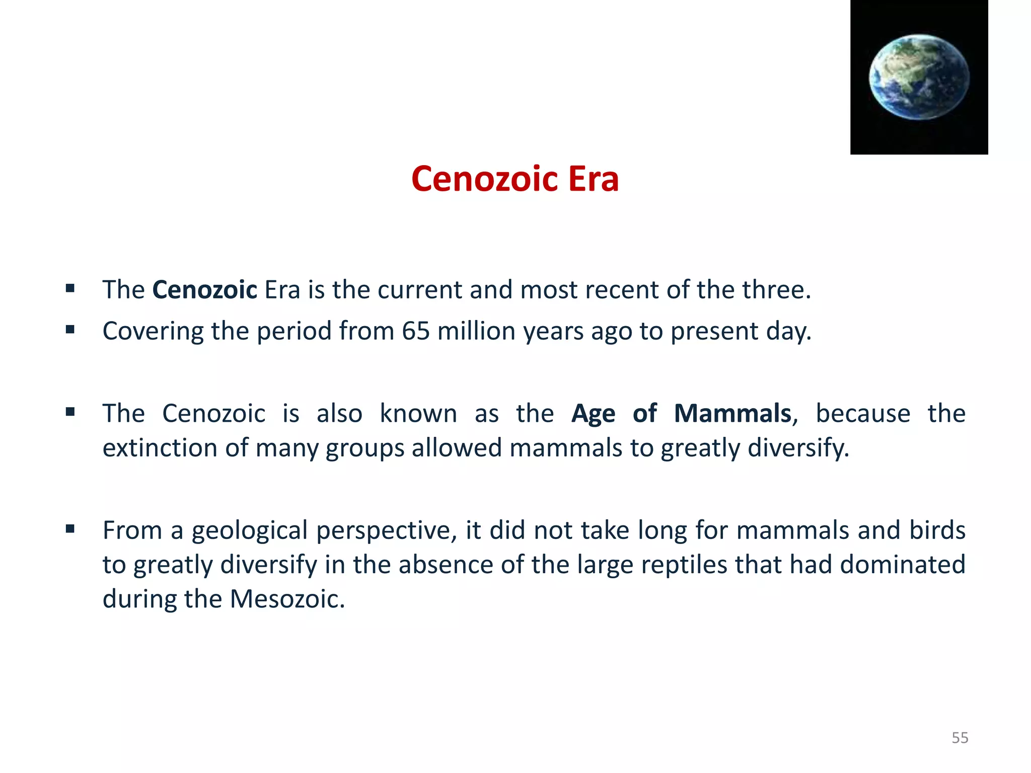 Cenozoic Era
 The Cenozoic Era is the current and most recent of the three.
 Covering the period from 65 million years ago to present day.
 The Cenozoic is also known as the Age of Mammals, because the
extinction of many groups allowed mammals to greatly diversify.
 From a geological perspective, it did not take long for mammals and birds
to greatly diversify in the absence of the large reptiles that had dominated
during the Mesozoic.
55
 