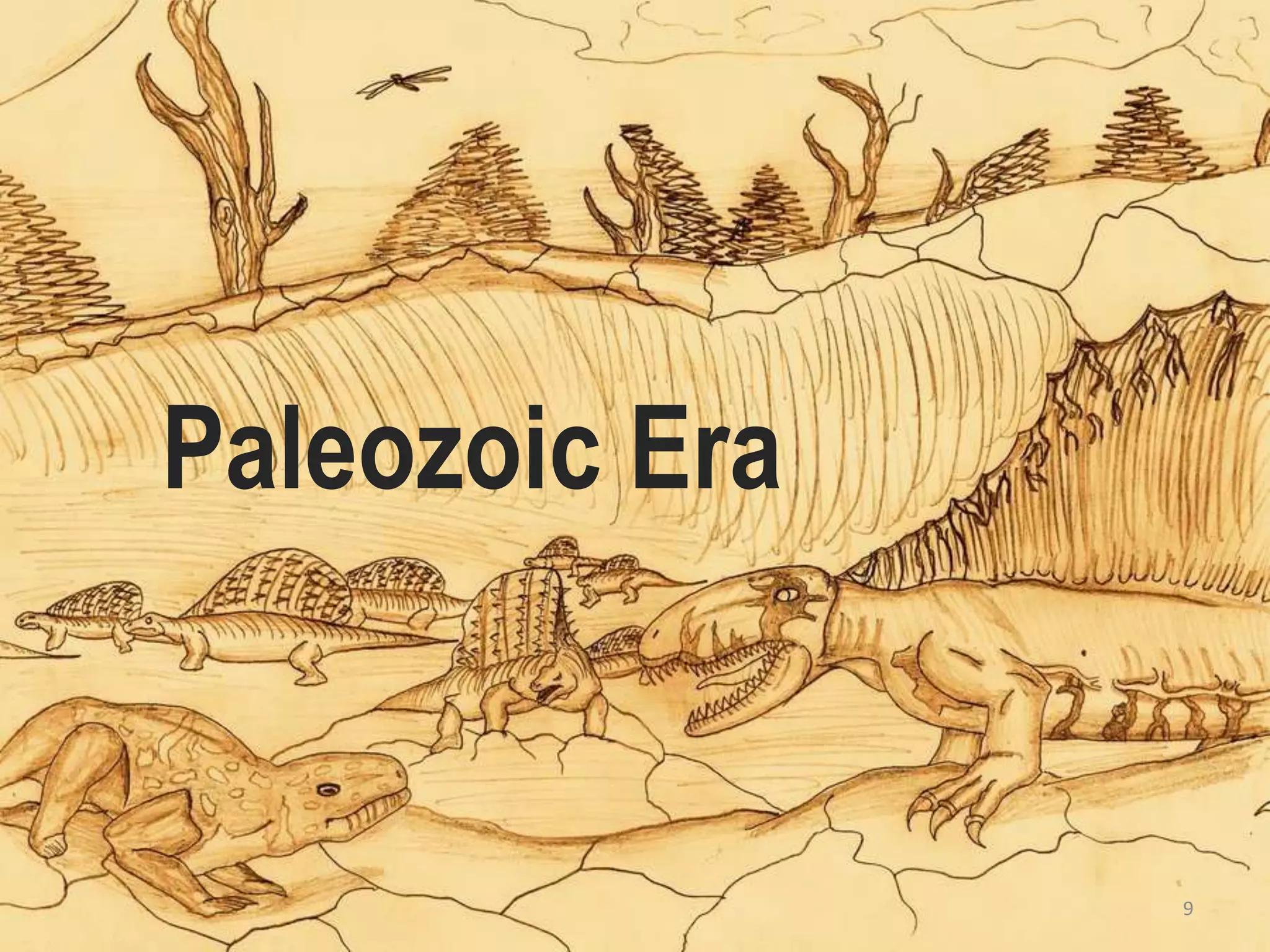 Paleozoic Era
9
 