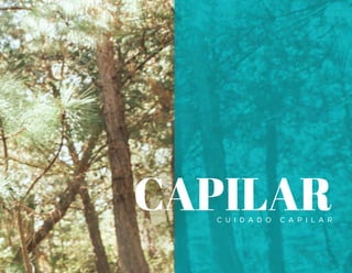 C U I D A D O C A P I L A R
CAPILAR
 