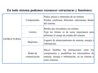 En todo sistema podemos reconocer estructuras y funciones: ESTRUCTURAS Componentes Partes, piezas o elementos de un sistema. Pueden conformar diferentes subsistemas dentro del sistema. Límites Bordes que encuadran a un sistema. Fijar los límites es de suma importancia para delimitar el campo de estudio del sistema. Depósitos Lugares de almacenamiento de materia, energía e información. Redes de comunicación Hacen factibles las interacciones entre los componentes y posibilitan los intercambios de materia, energía e información, en un sistema o entre sistemas. 