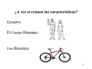 ¿A ver si reúnen las características? Ejemplos: El  Cuerpo  Humano: Una  Bicicleta: 