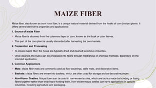 MAIZE FIBER
Maize fiber, also known as corn husk fiber, is a unique natural material derived from the husks of corn (maize) plants. It
offers several distinctive properties and applications:
1. Source of Maize Fiber
+ Maize fiber is obtained from the outermost layer of corn, known as the husk or outer leaves.
+ This part of the corn plant is usually discarded after harvesting the corn kernels.
2. Preparation and Processing
+ To create maize fiber, the husks are typically dried and cleaned to remove impurities.
+ Once cleaned, the husks can be processed into fibers through mechanical or chemical methods, depending on the
intended application.
3. Common Applications
+ Mats: Maize fiber mats are commonly used as floor coverings, table mats, and decorative items.
+ Baskets: Maize fibers are woven into baskets, which are often used for storage and as decorative pieces.
+ Non-Woven Textiles: Maize fibers can be used in non-woven textiles, which are fabrics made by bonding or fusing
fibers together rather than weaving or knitting them. Non-woven maize textiles can have applications in various
industries, including agriculture and packaging.
 