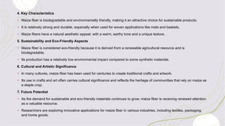 4. Key Characteristics
+ Maize fiber is biodegradable and environmentally friendly, making it an attractive choice for sustainable products.
+ It is relatively strong and durable, especially when used for woven applications like mats and baskets.
+ Maize fibers have a natural aesthetic appeal, with a warm, earthy tone and a unique texture.
5. Sustainability and Eco-Friendly Aspects
+ Maize fiber is considered eco-friendly because it is derived from a renewable agricultural resource and is
biodegradable.
+ Its production has a relatively low environmental impact compared to some synthetic materials.
6. Cultural and Artistic Significance
+ In many cultures, maize fiber has been used for centuries to create traditional crafts and artwork.
+ Its use in crafts and art often carries cultural significance and reflects the heritage of communities that rely on maize as
a staple crop.
7. Future Potential
+ As the demand for sustainable and eco-friendly materials continues to grow, maize fiber is receiving renewed attention
as a valuable resource.
+ Researchers are exploring innovative applications for maize fiber in various industries, including textiles, packaging,
and home goods.
 