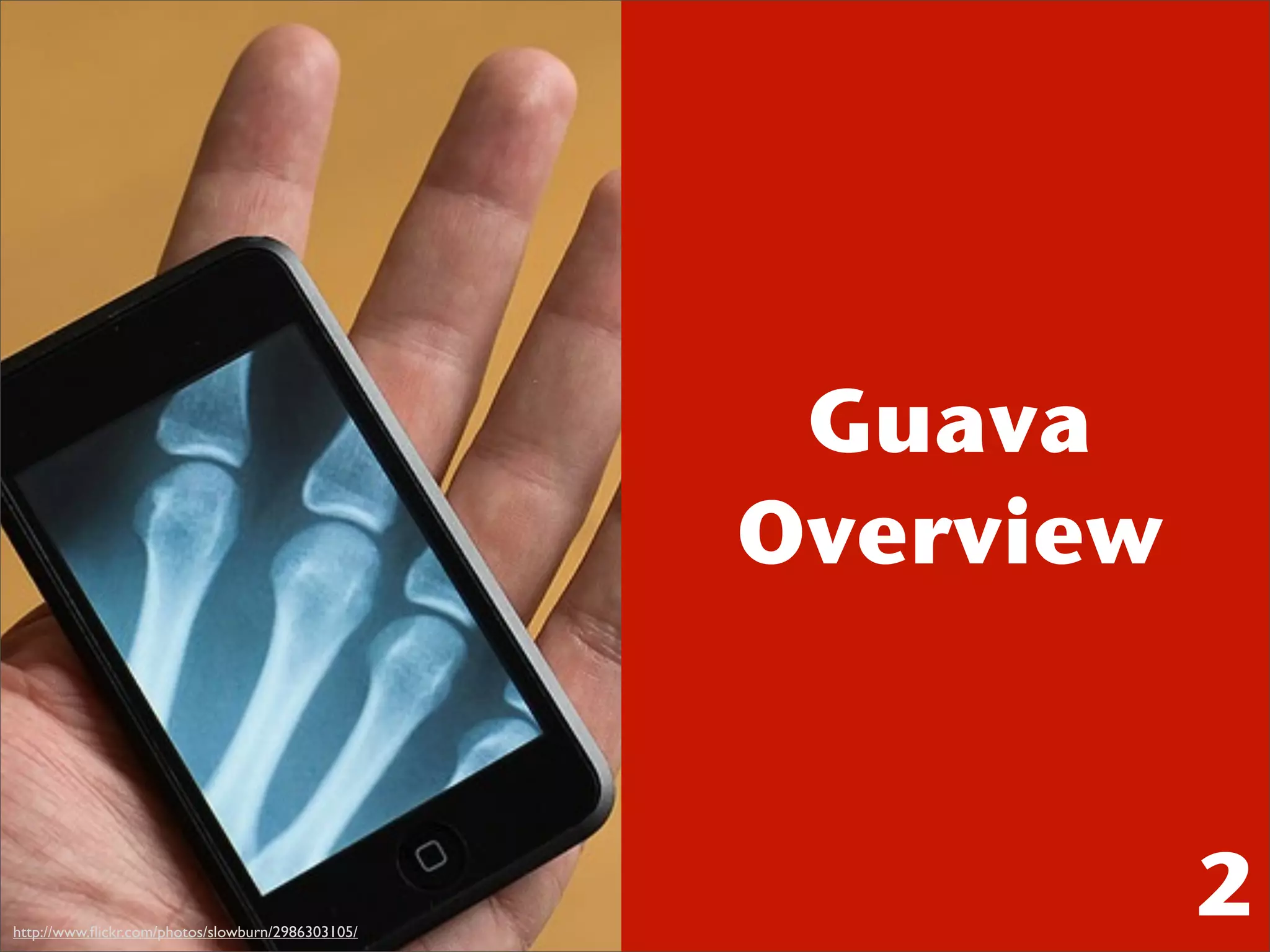 Guava
                                                   Overview



http://www.ﬂickr.com/photos/slowburn/2986303105/
                                                              2
 