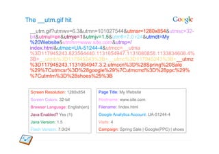 The __utm.gif hit
 __utm.gif?utmwv=6.3&utmn=101027544&utmsr=1280x854&utmsc=32-
 bit&utmul=en&utmje=1&utmjv=1.5&utmfl=7.0 r24&utmdt=My
 %20Website&utmhn=www.site.com&utmp=/
 index.html&utmac=UA-51244-4&utmcc=__utma
 %3D117945243.823564440.1131054947.1131080858.1133834608.4%
 3B+__utmb%3D117945243%3B+__utmc%3D117945243%3B+__utmz
 %3D117945243.1131054947.3.2.utmccn%3D%28Spring%20Sale
 %29%7Cutmcsr%3D%28google%29%7Cutmcmd%3D%28ppc%29%
 %7Cutmtm%3D%28shoes%29%3B


 Screen Resolution: 1280x854     Page Title: My Website
 Screen Colors: 32-bit           Hostname: www.site.com
 Browser Language: English(en)   Filename: /index.html
 Java Enabled? Yes (1)           Google Analytics Account: UA-51244-4
 Java Version: 1.5               Visits: 4
 Flash Version: 7.0r24           Campaign: Spring Sale | Google(PPC) | shoes
 