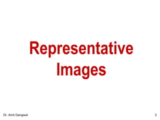 Representative
Images
2Dr. Amit Gangwal
 