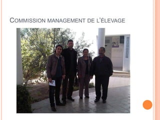 COMMISSION MANAGEMENT DE L’ÉLEVAGE
 