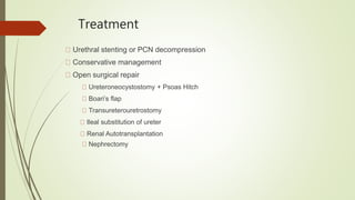 Treatment
Urethral stenting or PCN decompression
Conservative management
Open surgical repair
Ureteroneocystostomy + Psoas Hitch
Boari’s flap
Transureterouretrostomy
Ileal substitution of ureter
Renal Autotransplantation
Nephrectomy
 