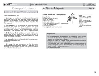5
Otras enfermedades son:
• La Gripe: La produce el virus llamado influenza. Es
difícil de diferenciar del resfriado común porque los
síntomas son los mismos, excepto que la gripe suele causar
mayor malestar, fiebre más alta, dolor muscular, tos
fuerte y seca.
• La Bronquitis: Es la irritación de la mucosa de los
bronquios, que puede ser aguda o crónica. La aguda
normalmente sólo dura unos días y se debe a una infección
viral (resfriado común), a veces seguida de una infección
bacteriana. Los síntomas son tos y expectoración.
• El Enfisema: Es la pérdida de tejido elástico del
pulmón, que lo hace disminuir su eficiencia. Con ello la
persona tiene que hacer más fuerza para respirar, lo que la
limita en todas su actividades.
• La Neumonía: Es una inflamación del tejido pulmonar,
causada principalmente por
bacterias.
• El Asma: Es una obstrucción en los branquias,
generalmente alérgica (polvo, polen, etc.), que hace difícil
respirar. Es muy común y no tiene cura, pero se controla
con un tratamiento adecuado.
NUESTRO SISTEMA RESPIRATORIO
Jarabe para la tos y los bronquios
Ingredientes:
150 grs. de hojas de palto
50 grs. de tomillo
1 litro alcohol etílico
6,60 grs. de azúcar
3,60 cm3 de agua (1 taza y 1/2 más o menos
100 ml. de concentrado)
1 colador y algodón
frascos para envasar y etiquetas.
Dosis
Niños de 6 a 12 años:
1 cucharadita 3 veces
al día.
Niños menores de 6
años: 1/2 cucharadita
3 veces al día.
Adultos:
1 cucharadita 4 veces
al día.
Preparación
•Se pican las plantas secas o verdes; se echan en un frasco oscuro
con 1 litro de alcohol y se dejan macerar durante 8 días, bien
tapados, en un lugar seco y obscuro.
•Pasados los 8 días, se filtra el líquido obtenido del macerado en un
colador al que se le ha puesto un algodón.
•Este líquido se pone a baño maría para reducirlo a la mitad. Con el
azúcar y el agua se hace un almíbar no muy espeso; se le agrega el
líquido filtrado y se bate suavemente.
•Se envasa y etiqueta.
1
3
Ciencias Integradas
Cuerpo Humano
 