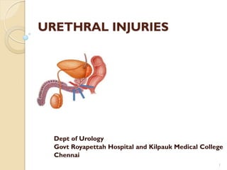 URETHRAL INJURIES
Dept of Urology
Govt Royapettah Hospital and Kilpauk Medical College
Chennai
1
 