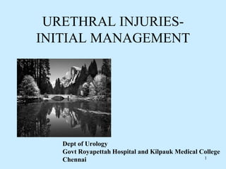 URETHRAL INJURIES-
INITIAL MANAGEMENT
Dept of Urology
Govt Royapettah Hospital and Kilpauk Medical College
Chennai 1
 