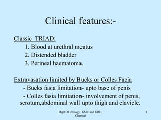 Clinical features:-
Classic TRIAD:
1. Blood at urethral meatus
2. Distended bladder
3. Perineal haematoma.
Extravasation limited by Bucks or Colles Facia
- Bucks fasia limitation- upto base of penis
- Colles fasia limitation- involvement of penis,
scrotum,abdominal wall upto thigh and clavicle.
Dept Of Urology, KMC and GRH,
Chennai
8
 
