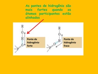 As pontes de hidrogêniosãomais fortes quandoosátomosparticipantesestãoalinhadosPonte de hidrogênio fortePonte de hidrogêniofraca
